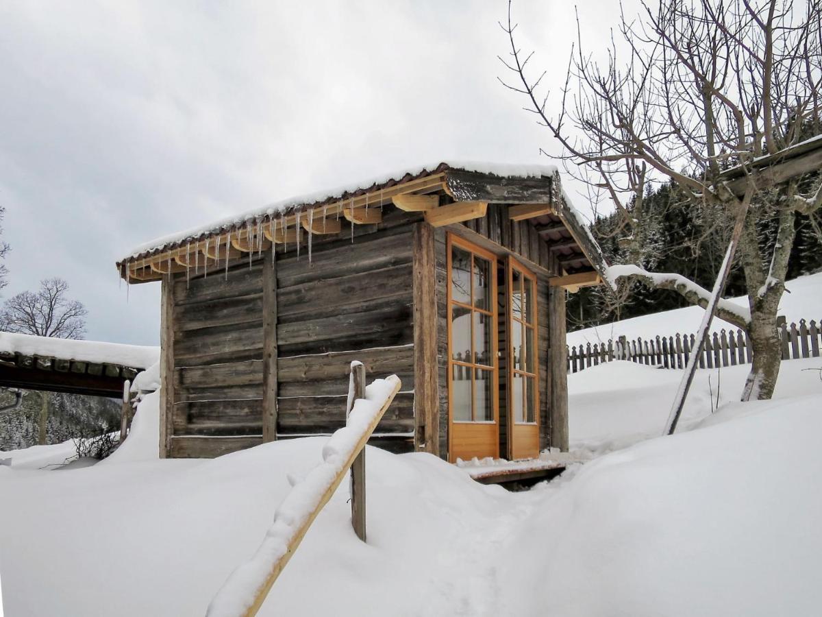 Apartment Knaushof - Rmu200 By Interhome Ramsau am Dachstein Zewnętrze zdjęcie