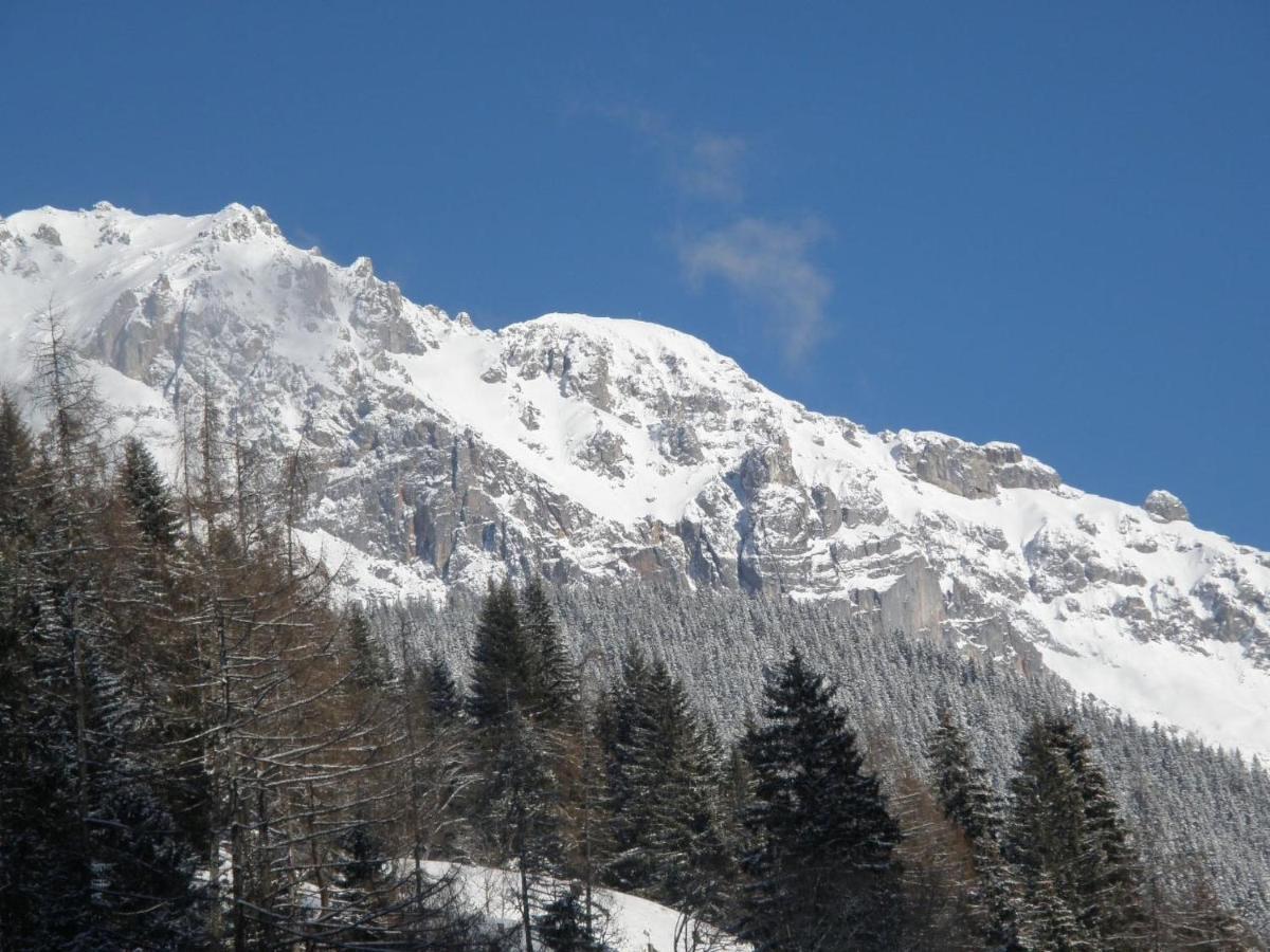 Apartment Knaushof - Rmu200 By Interhome Ramsau am Dachstein Zewnętrze zdjęcie